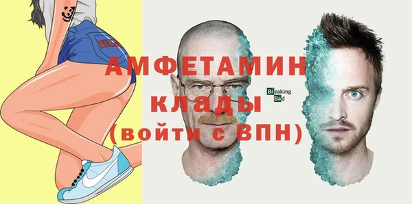 прущие крисы Горняк