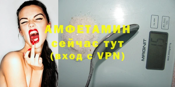 прущие крисы Горняк