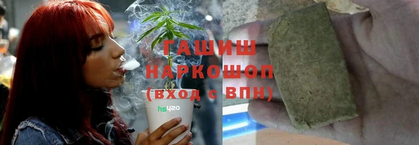 прущие крисы Горняк