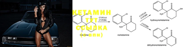 прущие крисы Горняк