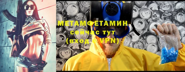 прущие крисы Горняк