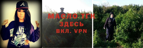 прущие крисы Горняк