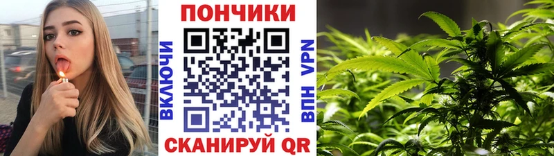 Бошки марихуана VHQ  Эртиль 